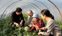 西藏扎西枫丹娱乐吃瓜,吃瓜群众眼中的神秘娱乐王国